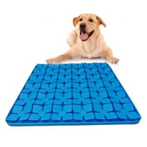 Silicone Snuffle Mat for Dogs