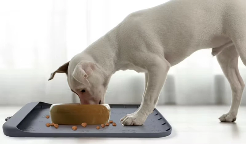 silicone pet feeding mat and pet care products for dogs and pets